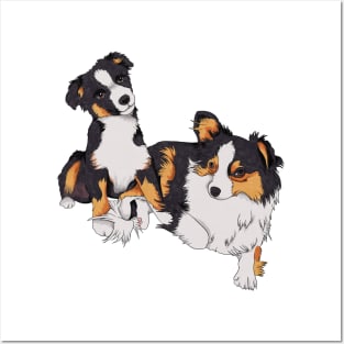 Mini Aussies Posters and Art